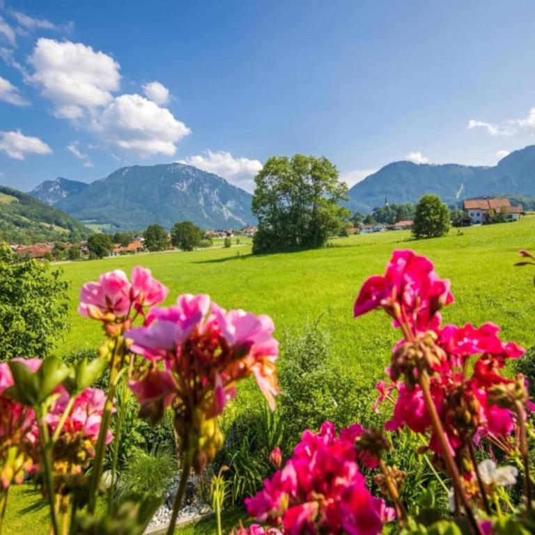 Pleasant Apartment in Ruhpolding with Swimming Pool - Apartment - 36