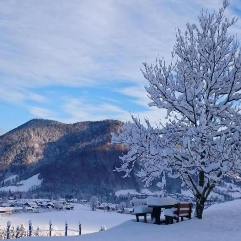 Pleasant Apartment in Ruhpolding with Swimming Pool - Apartment - 32