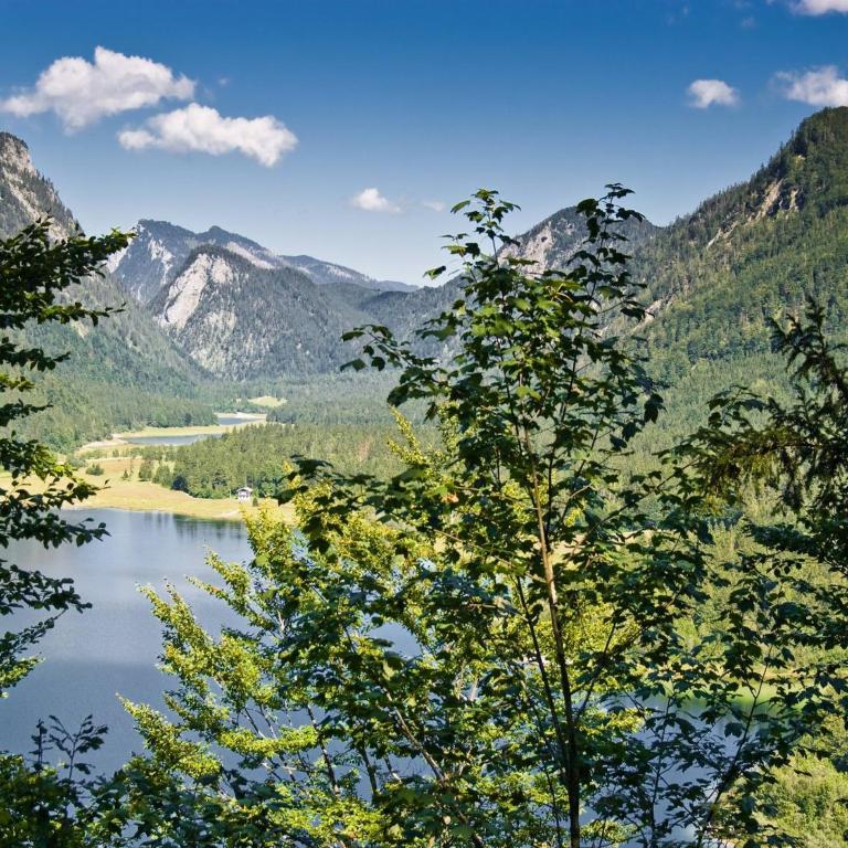 Pleasant Apartment in Ruhpolding with Swimming Pool - Apartment - 26
