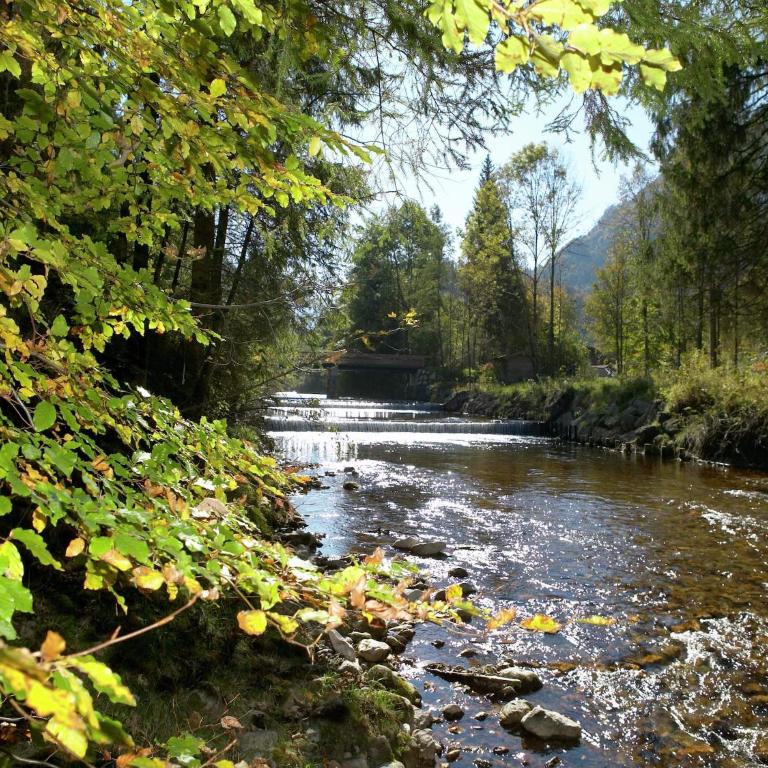 Pleasant Apartment in Ruhpolding with Swimming Pool - Apartment - 27