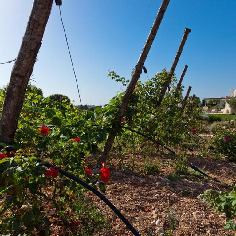 Borgo Del Tempo Ritrovato - Luxury Relais in Puglia - Casa con 2 Camere da Letto - 10