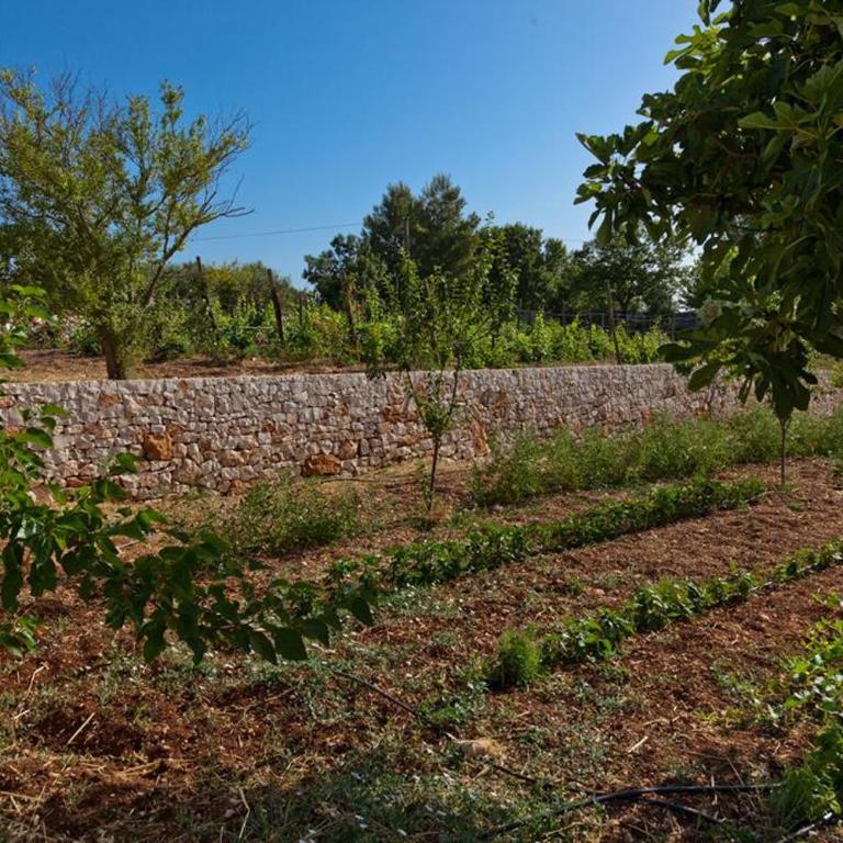 Borgo Del Tempo Ritrovato - Luxury Relais in Puglia - Casa con 2 Camere da Letto - 11