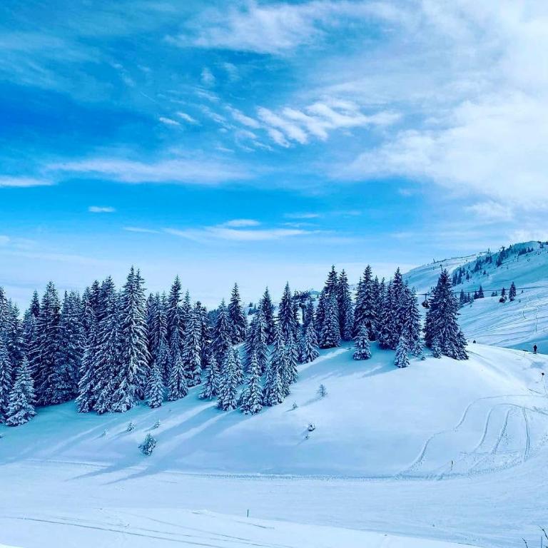 Apartman 306 Privatni u sklopu Hotela Vučko Jahorina - Apartman sa 2 Spavaće Sobe - 3