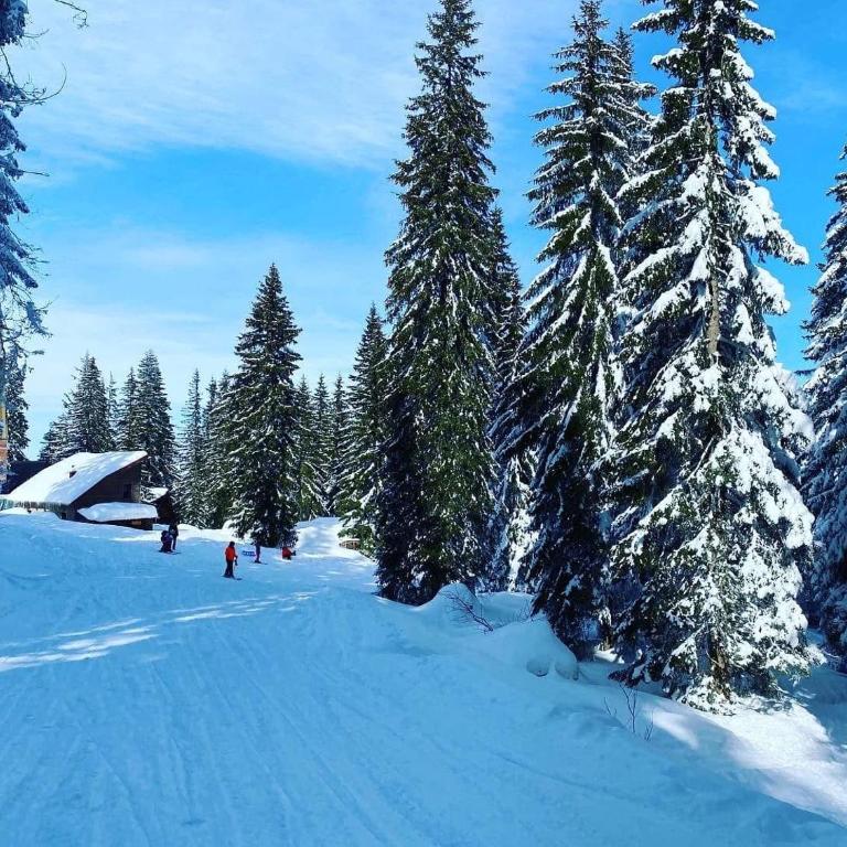 Apartman 306 Privatni u sklopu Hotela Vučko Jahorina - Apartman sa 2 Spavaće Sobe - 2