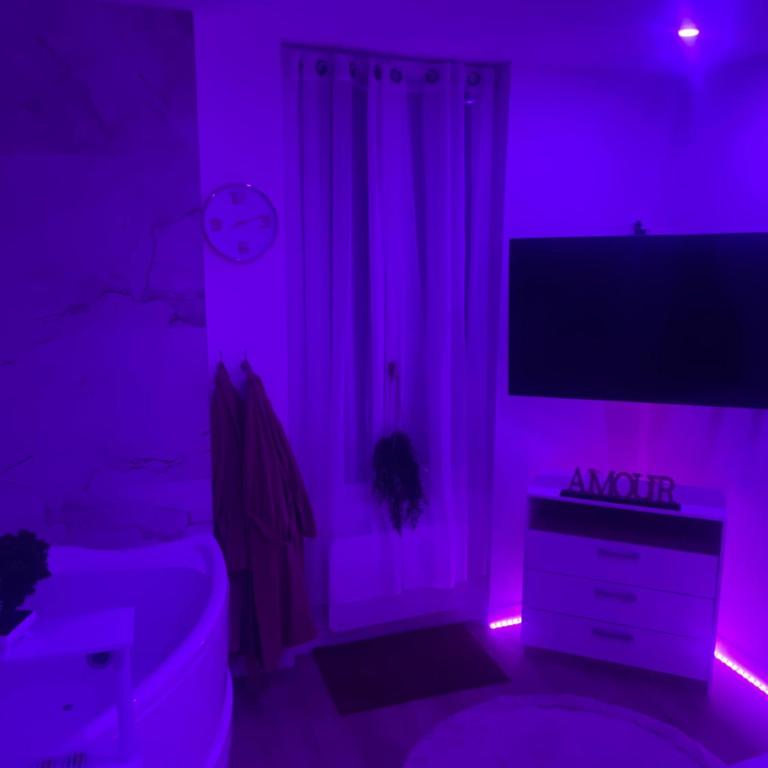 Appartement Jacuzzi proche Cité Gastronomique - Apartamento de 1 dormitorio - 1