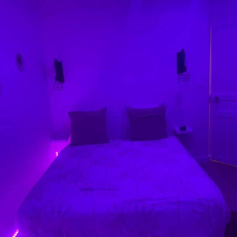 Appartement Jacuzzi proche Cité Gastronomique - Apartamento de 1 dormitorio - 3
