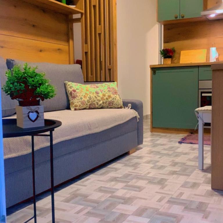 Clementine - One-Bedroom Apartment - 19