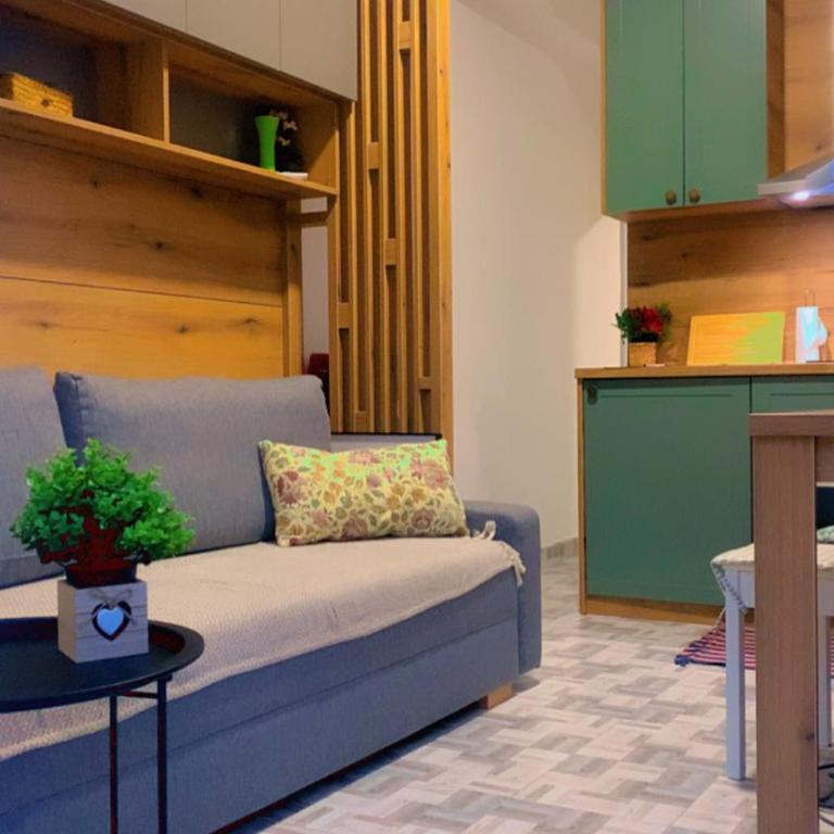 Clementine - One-Bedroom Apartment - 20