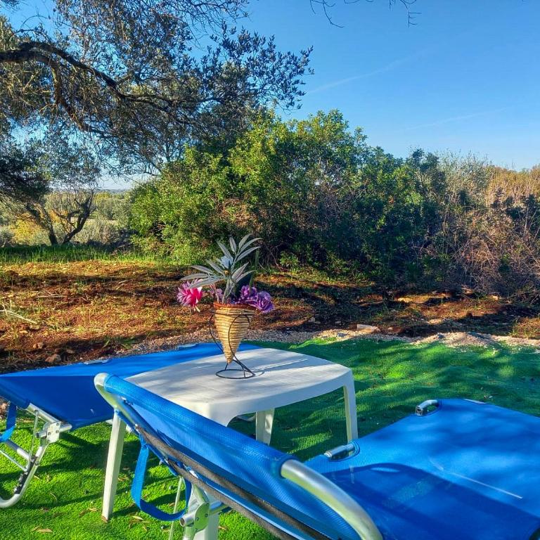 Villa tra gli Ulivi - Ostuni - Two-Bedroom Villa - 8