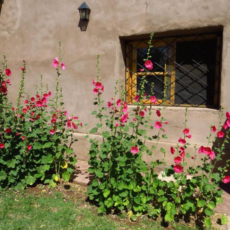 Casa Maíz - Casa de 3 dormitorios - 18