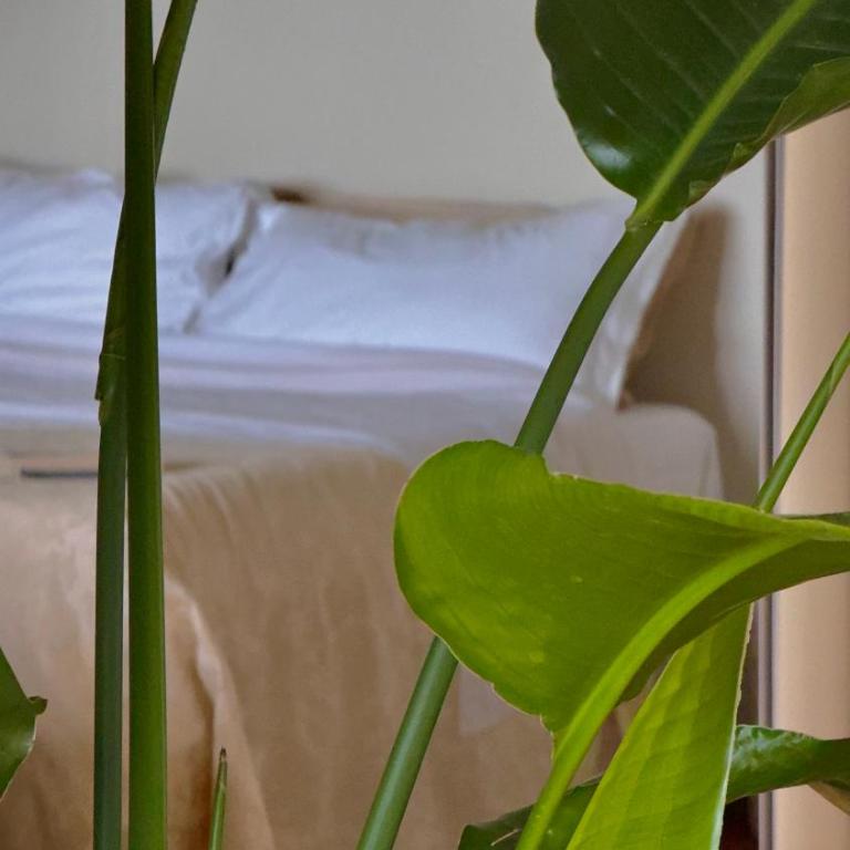 Sorgiva - One-Bedroom House - 13