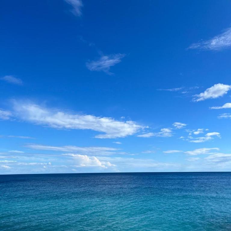 Villa SPA Riviera ligure - Villa - 63