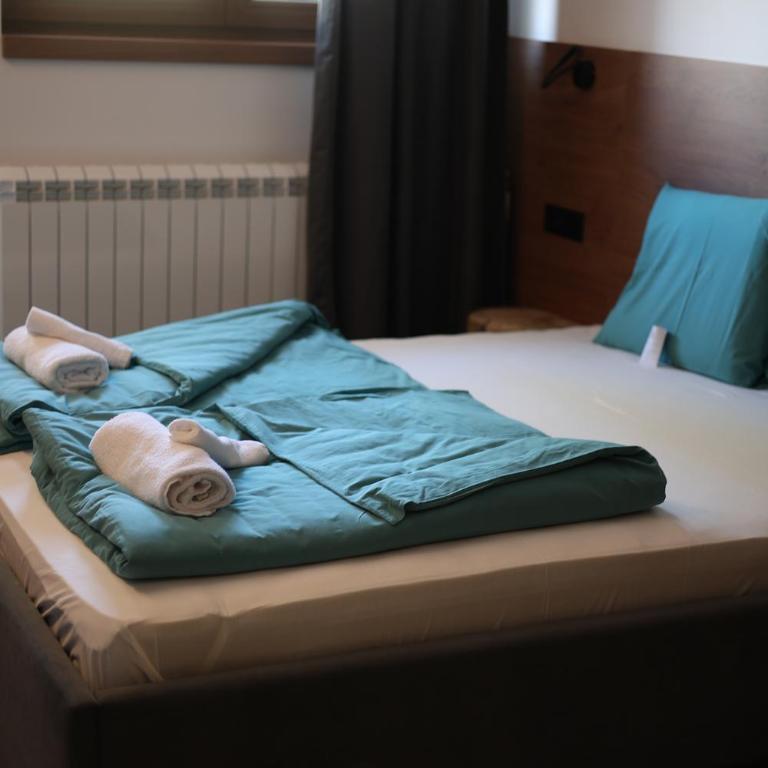 Vila Plamenac - Deluks Dvokrevetna Soba sa Bračnim Krevetom - 25