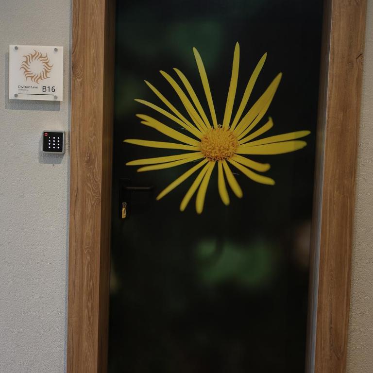 Vila Plamenac - Deluks Dvokrevetna Soba sa Bračnim Krevetom - 10