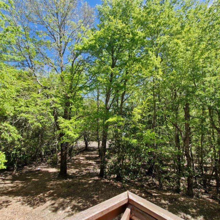 Refugio Koyamento - One-Bedroom Chalet - 2
