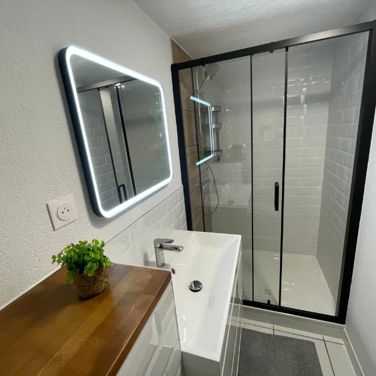 Le palmier - One-Bedroom Apartment - 8