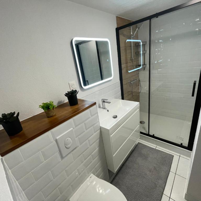 Le palmier - One-Bedroom Apartment - 7