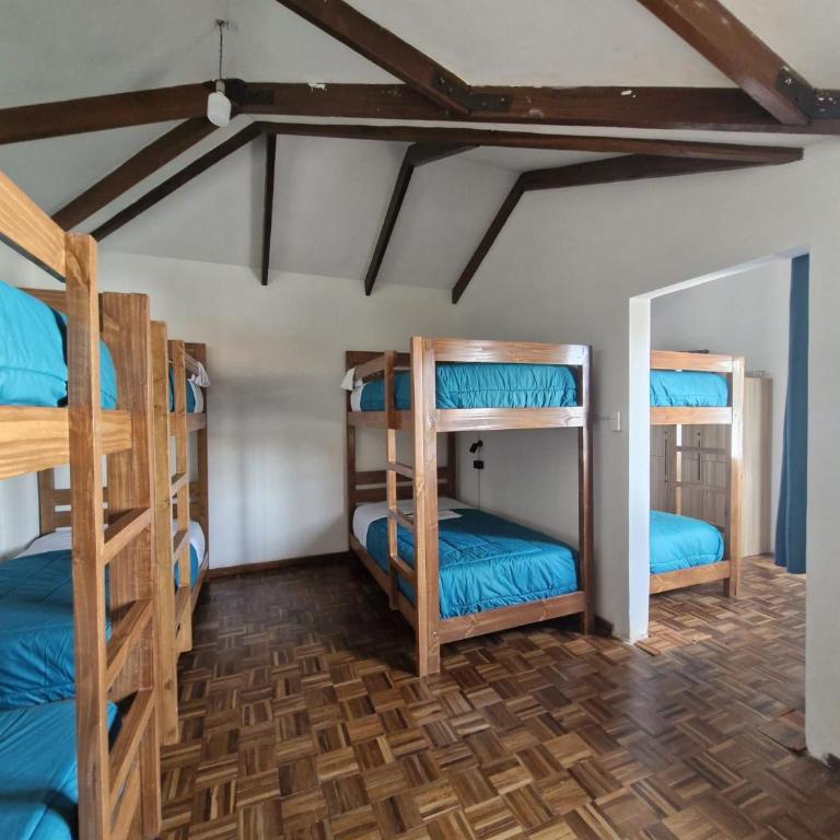 Holis - Cama en habitación compartida de 8 camas - 2