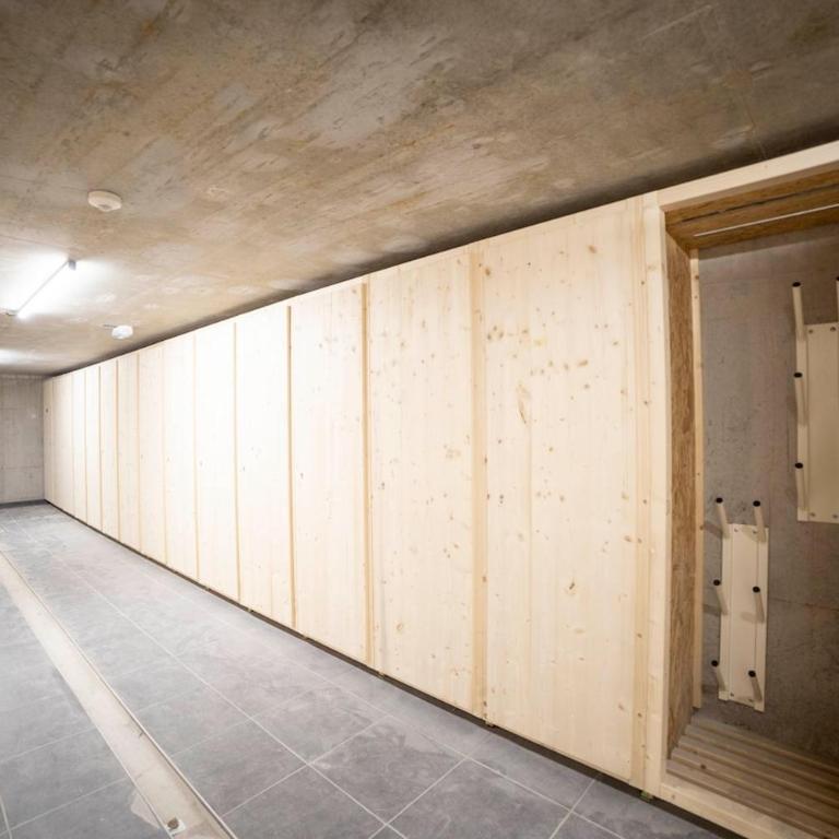 Cosmiques A203 - New & Mont Blanc view - Appartement - 28