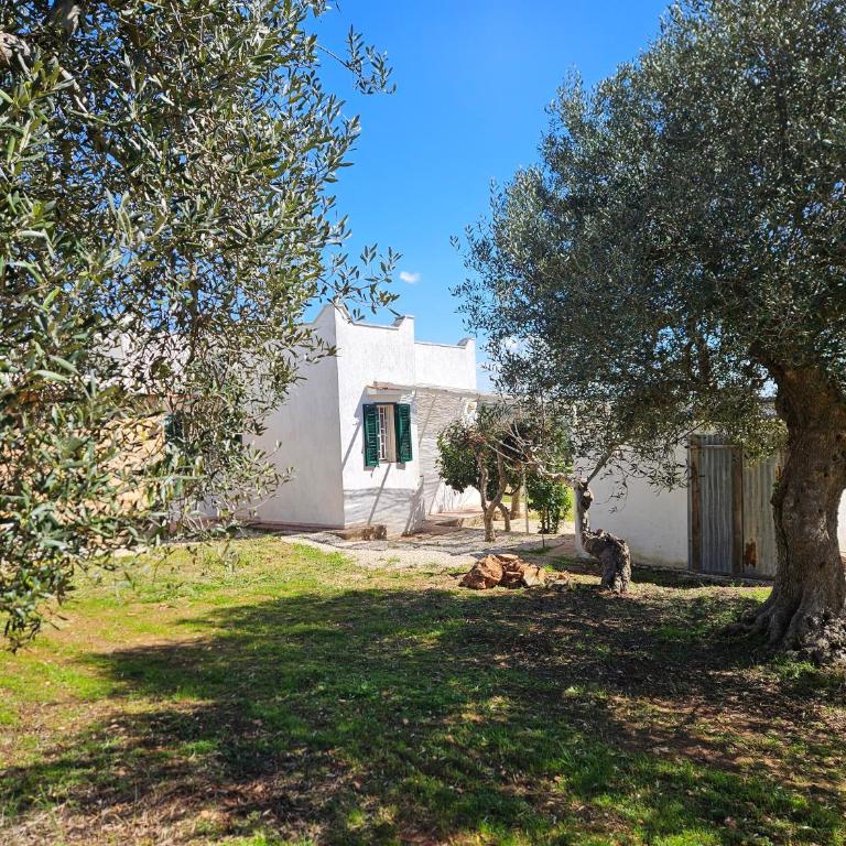 Il Trullino di Vallegna - Two-Bedroom Villa - 6