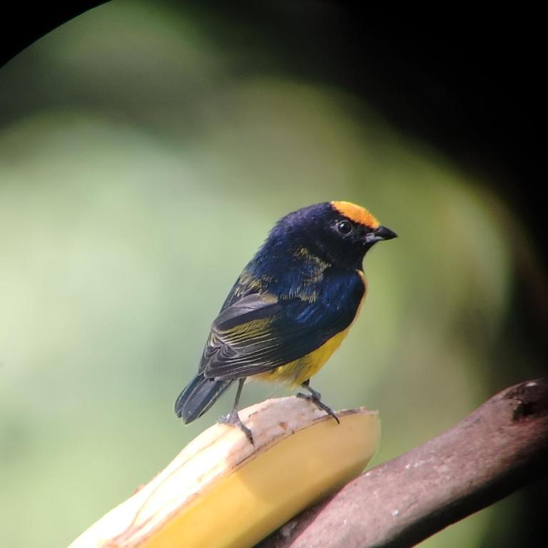 Sendero de las aves - Apartamento con balcón - 17