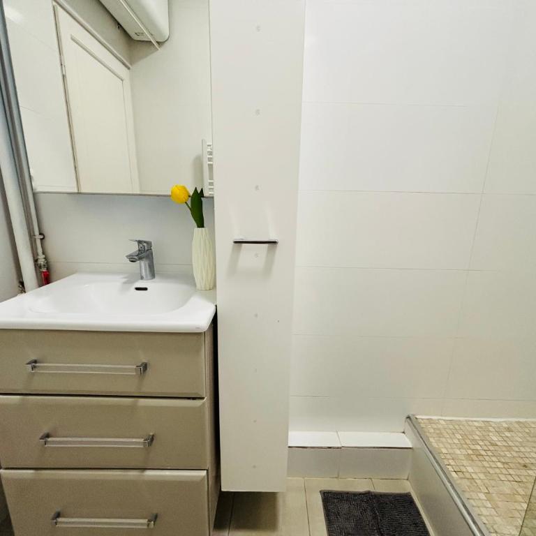 2-bedrooms apart near Parc des Princes - Appartement 2 Chambres - 15