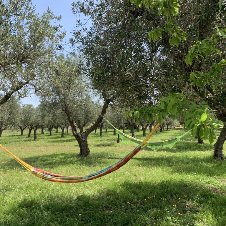Il Trullino di Vallegna - Villa de 2 dormitorios - 25