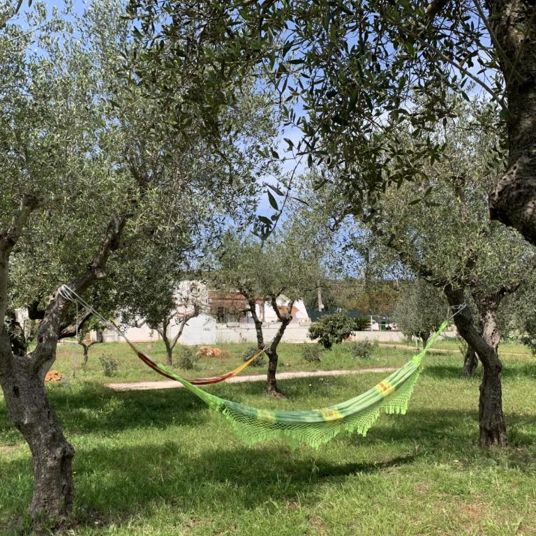 Il Trullino di Vallegna - Villa de 2 dormitorios - 26