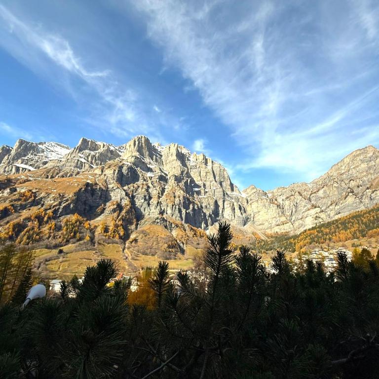 Lärchenwald 401 - Appartamento con 2 Camere da Letto - 28
