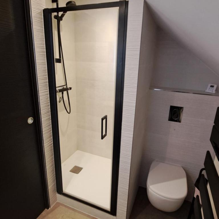 Suite familiale privée proche du Parlement Européen de Strasbourg - Chambre Familiale avec Salle de Bains Privative - 5