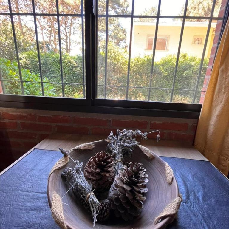 Setiembre - Casa con 1 dormitorio - 10