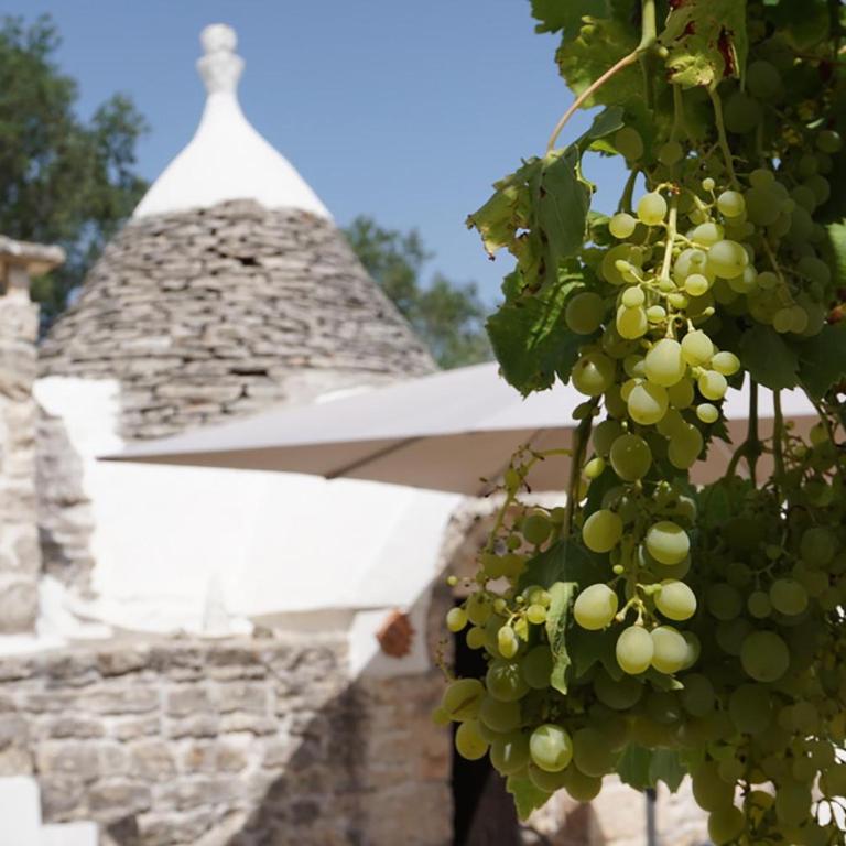 Trullo della fontana di Sant`Anna by Perle di Puglia - Villa con Piscina Privata - 24
