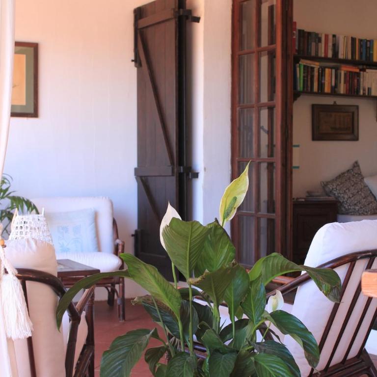 Villa con discesa privata a mare - Villa Fronte Spiaggia - 16
