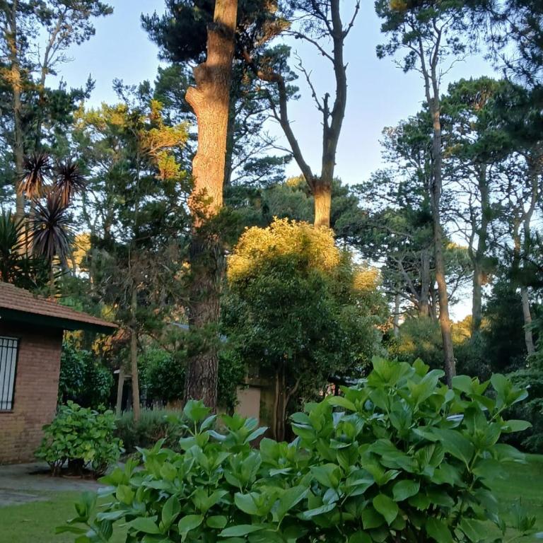 Las 7 Lunas - Casa de 2 dormitorios - 6