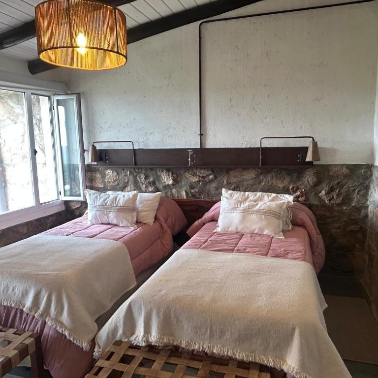 suites en la montaña con propuesta de viñedo - Chalet de 1 dormitorio - 1