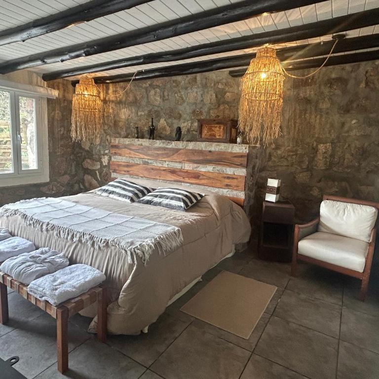 suites en la montaña con propuesta de viñedo - Chalet de 1 dormitorio - 6