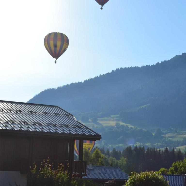 Résidence le Quartz Praz sur Arly 2 à 4 personnes - Appartement 2 Chambres - 12