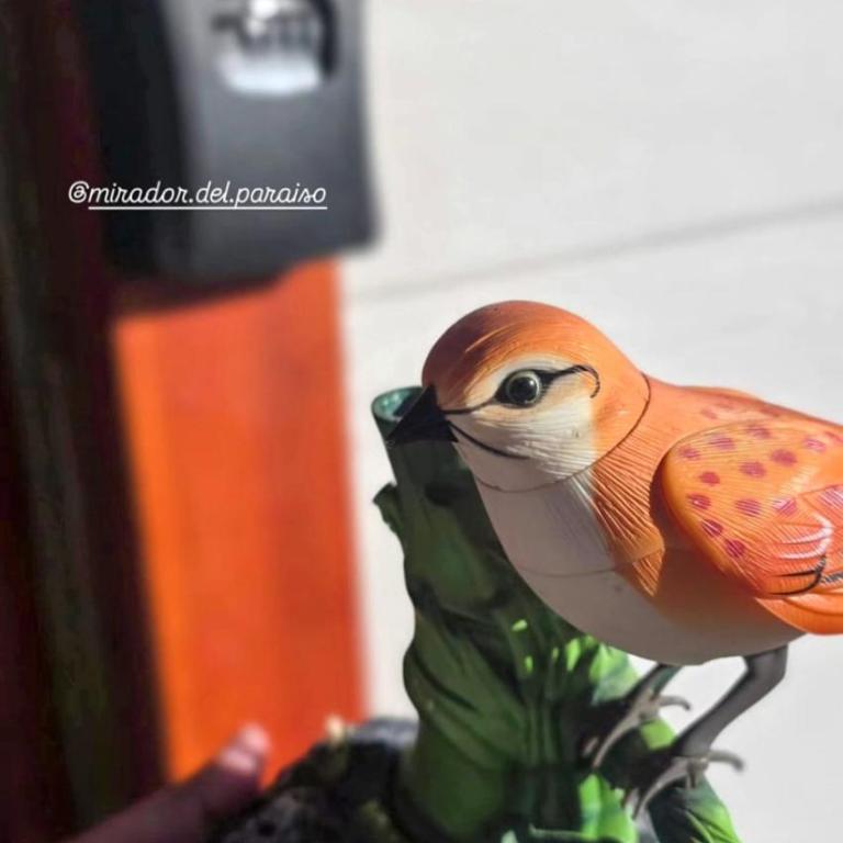 Cabaña Mirador del Paraíso - Casa de 2 dormitorios - 16
