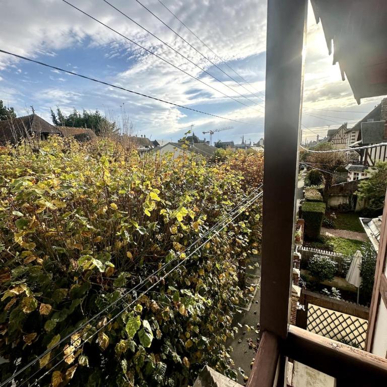 La Toccata Maison de Charme Centre Cabourg - One-Bedroom House - 10