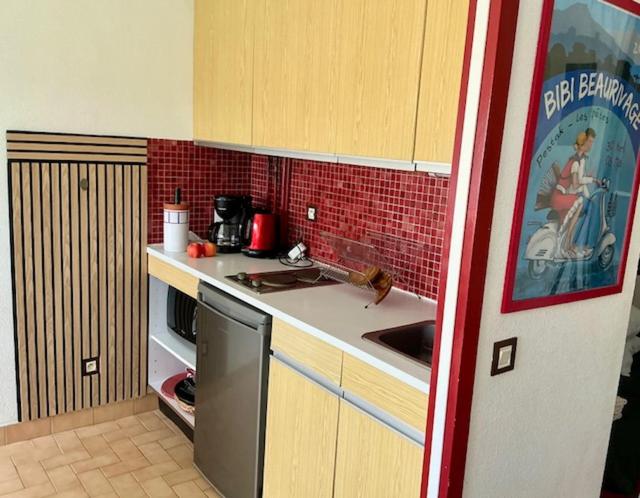 centre et plage F1 calme vue parc parking gratuit - Appartamento con 1 Camera da Letto - 14