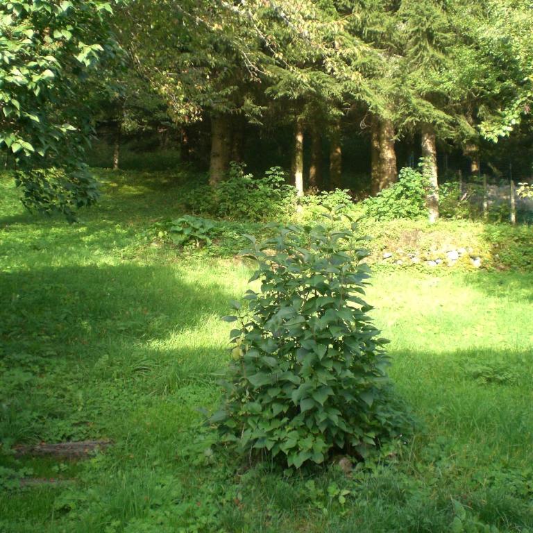 Villa Prairie Mont-Dore Appartements - Apartment mit 2 Schlafzimmern - 7