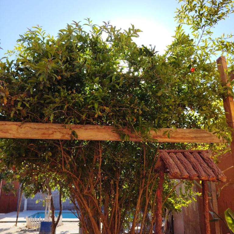 La Casa De La Pradera - Chalet de 2 dormitorios - 9