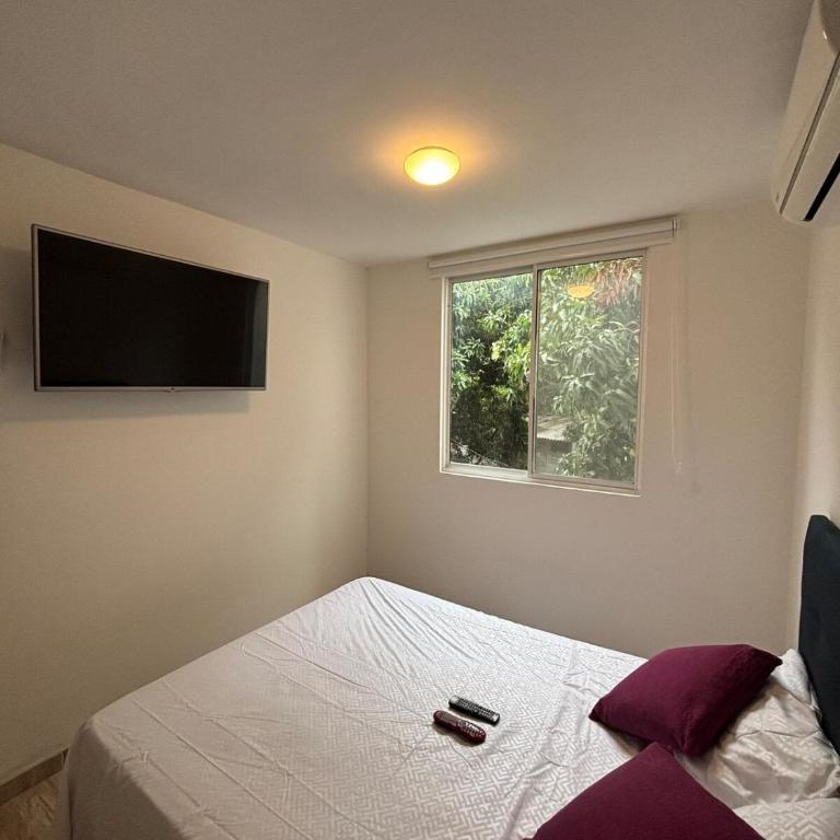 BAM - Hospedajes - Two-Bedroom Apartment - 47