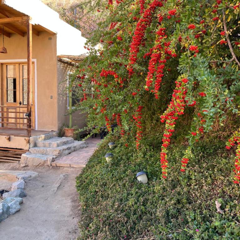 Cabañas Elquimista - Bungalow (4 Adults) - 6