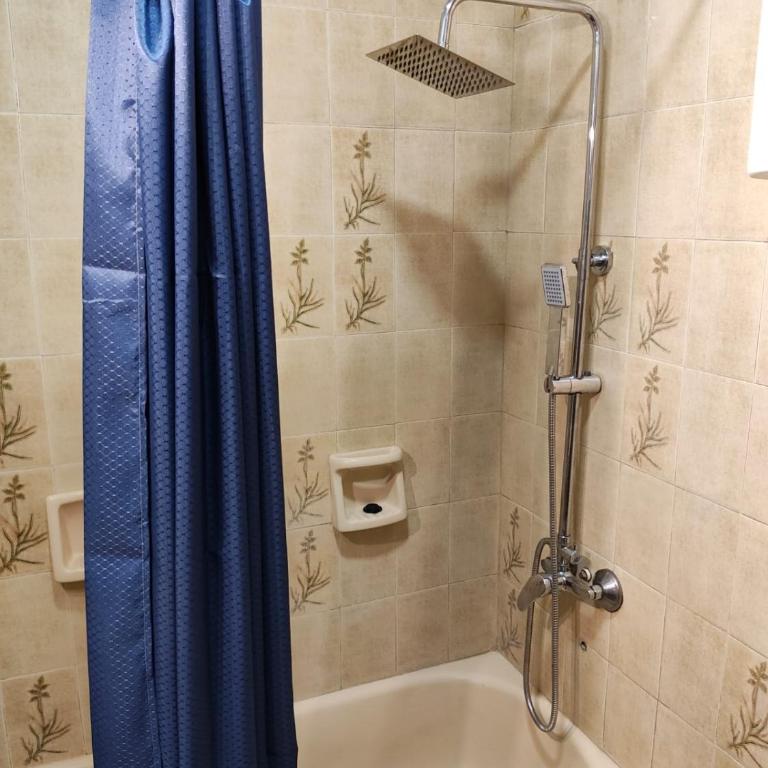 Departamento céntrico - Two-Bedroom Apartment - 20