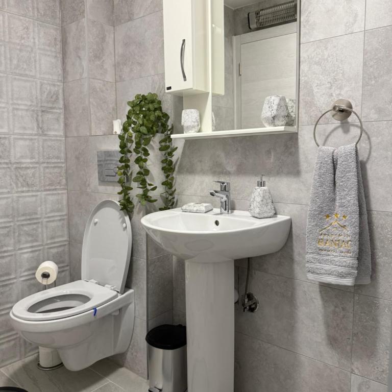 Apartman Banjac - One-Bedroom Apartment - 9