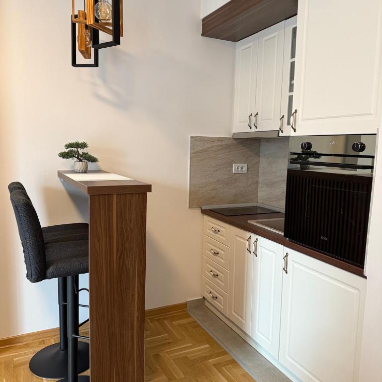 Apartman Banjac - One-Bedroom Apartment - 7