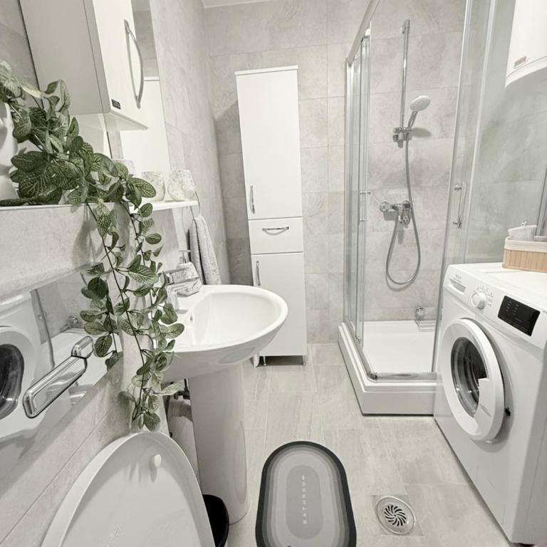 Apartman Banjac - One-Bedroom Apartment - 11