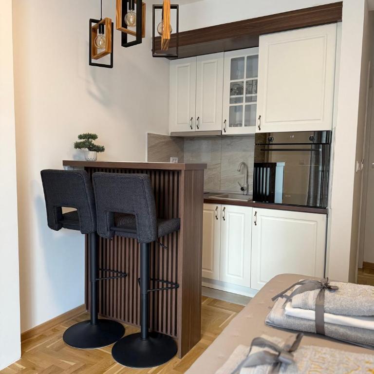 Apartman Banjac - One-Bedroom Apartment - 4
