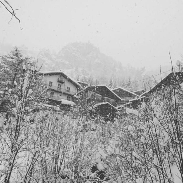 Mountain house with two barns and a garden - Maison 2 Chambres - 6